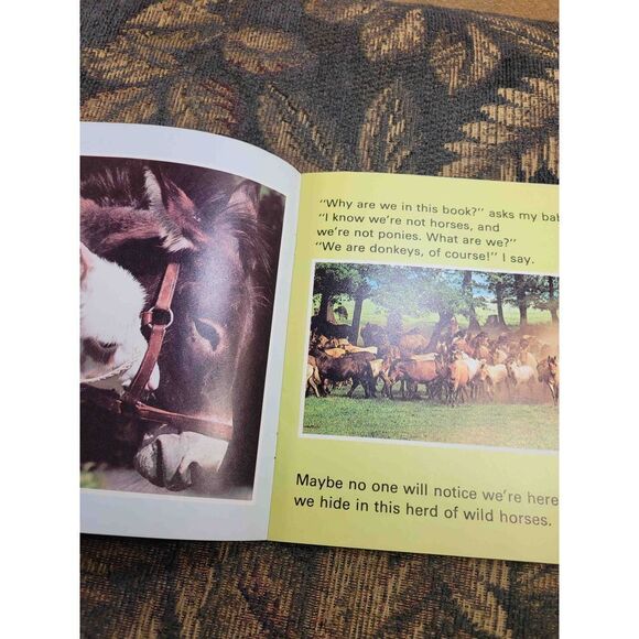 Vintage 1979 Ponies and Horses Book - Picture 7 of 7